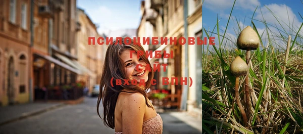 марки nbome Алзамай