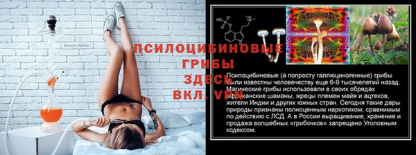 круглые Алексеевка